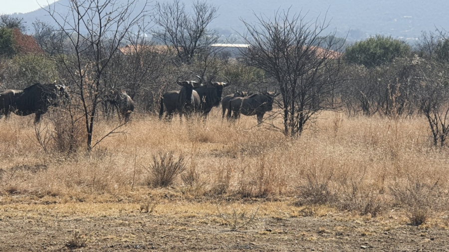 Commercial Property for Sale in La Camargue Private Country Estate North West